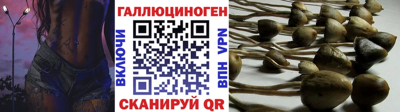 Купить закладки  Дубна  Галлюциногенные грибы мухоморы 